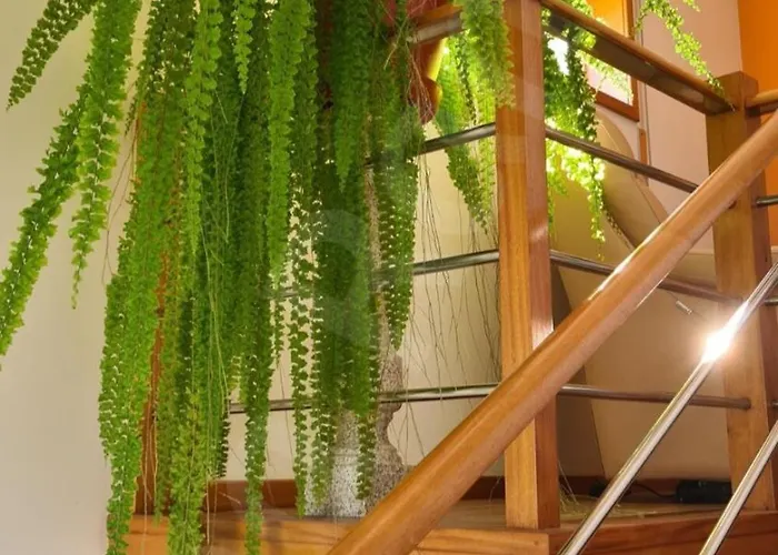 Casa Ramos Ferienhaus *