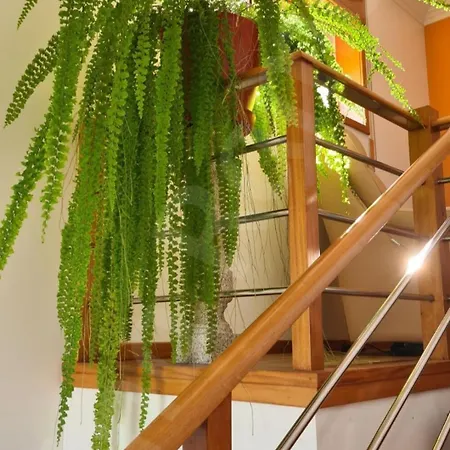 Casa Ramos Holiday home *